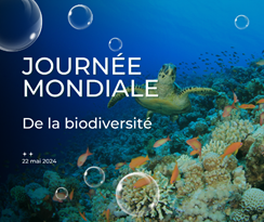 jm_biodiversite_2024.png